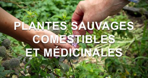 pleine-conscience-et-corps-en-jeu